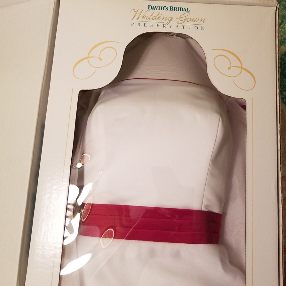 Wedding Dress and Veil